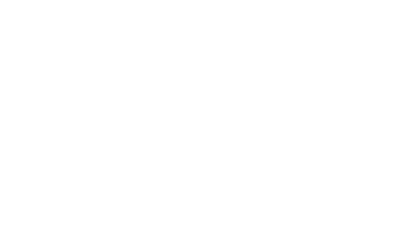 BirdsEyeNews